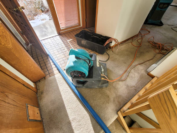 Best Professional water damage repair  in Fern Prairie, WA