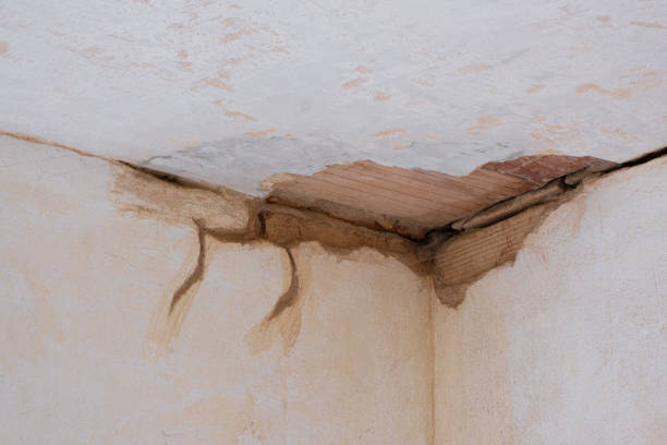 Fern Prairie, WA Water damage restoration Company