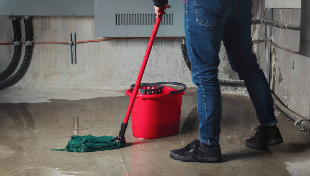 Best Water damage cleanup near me  in Fern Prairie, WA