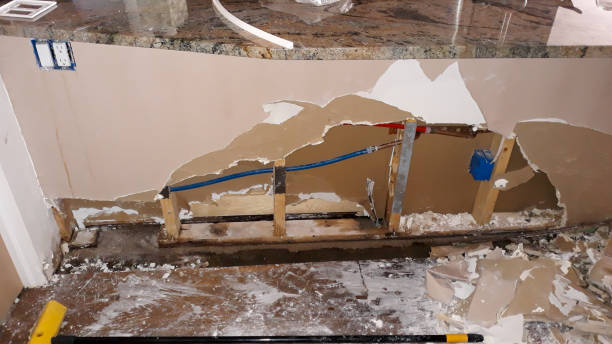 Best Fire Damage Restoration  in Fern Prairie, WA