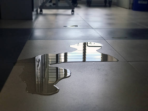 Best Commercial water damage restoration  in Fern Prairie, WA