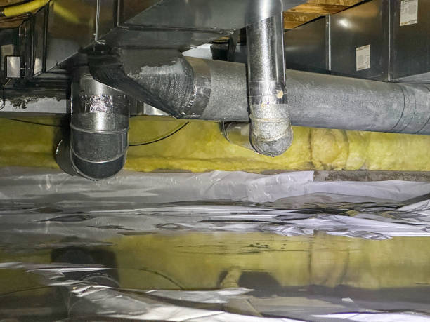Best Flood restoration services  in Fern Prairie, WA
