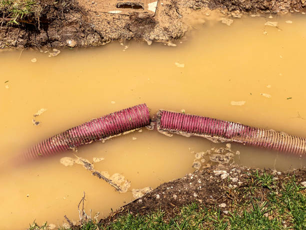 Best Basement water damage restoration  in Fern Prairie, WA